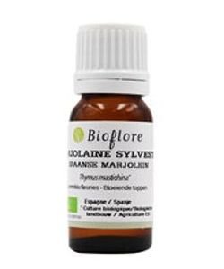 Marjolaine sylvestre (Thymus mastichina) BIO, 10 ml